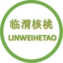 临渭核桃公众号ico