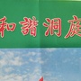 和谐洞庭ico