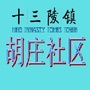 十三陵镇胡庄社区ico