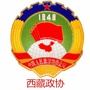西藏政协ico