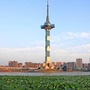 爱你大盐城ico