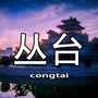 丛台大城小事ico