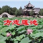 方志莲池ico