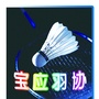 宝应羽协ico