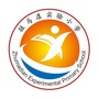 驻马店实验小学ico