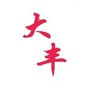 大丰交通ico