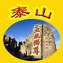 泰山地带ico