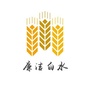 廉洁白水ico