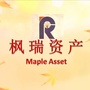 枫瑞视点公众号ico