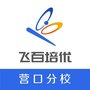 营口飞百ico