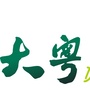 广东大粤国旅广宁营业部ico
