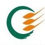 天中后羿ico