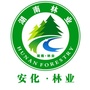安化林业ico