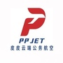 皮皮云端公务航空ico