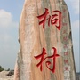 美丽桐村ico
