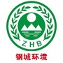 钢城环境ico
