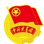 咸阳职院共青团ico
