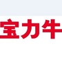 上海宝力牛ico