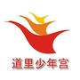 道里少年宫活动中心ico