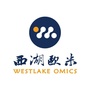 西湖欧米ico
