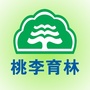 桃李育林公众号ico