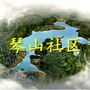 锦城琴山社区ico
