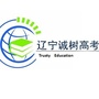 辽宁诚树教育ico