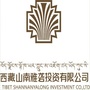 山南雅投公众号ico