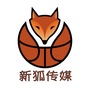 新狐传媒ico