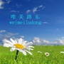 唯美路东公众号ico