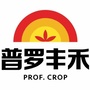 普罗丰禾ico
