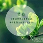 居家生活百科知识ico