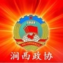 涧西政协ico