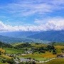优选同城事ico