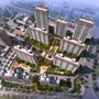 阳明天宸ico