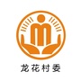 三溪龙花阳光村务ico