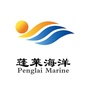 蓬莱海洋ico