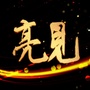 海口亮见ico