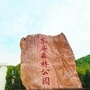 东庵森林公园ico