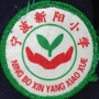 新阳小学ico