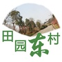 田园东村ico