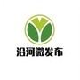 沿河微发布ico
