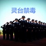 灵台禁毒ico