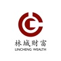 林城财富ico