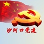 沙河口党建ico