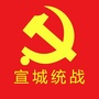 宣城统战ico