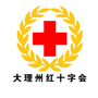 大理州红十字会ico