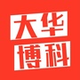 大华博科ico
