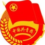 郫筒街道菠萝社区青年ico