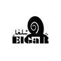 Elgar平台ico